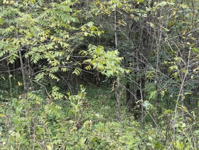 2.75 Acre Lake Cumberland Lot w Light Covenants - photo 12
