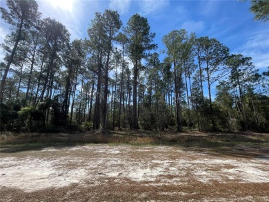 Lake George Lot For Sale in Georgetown Florida