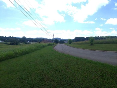 Lake Lot For Sale in Rutledge, Tennessee