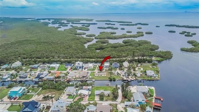 South Branch Manatee River  Home For Sale in Ruskin Florida