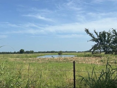 (private lake, pond, creek) Acreage For Sale in Coalgate Oklahoma