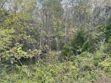 2.75 Acre Lake Cumberland Lot w Light Covenants - photo 9