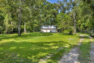 See Lake Blackshear perfectly with Awesome Lake Views off - photo 19