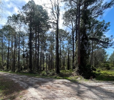 Lake George Lot For Sale in Georgetown Florida