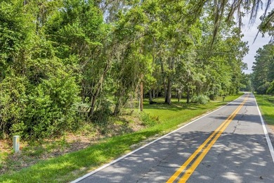See Lake Blackshear perfectly with Awesome Lake Views off - photo 22