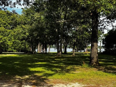 See Lake Blackshear perfectly with Awesome Lake Views off - photo 24