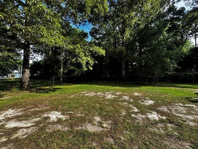 See Lake Blackshear perfectly with Awesome Lake Views off - photo 25
