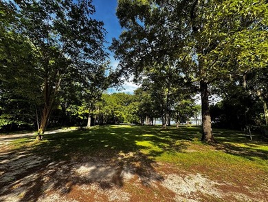 See Lake Blackshear perfectly with Awesome Lake Views off - photo 26
