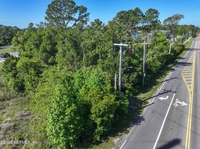 PRIME LOCATION - These vacant commercial parcels offer a - photo 32