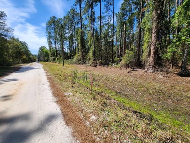 Lake George Lot For Sale in Georgetown Florida