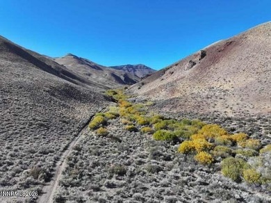Incredible Investment Opportunity to own 1894 Contiguous Acres - photo 10