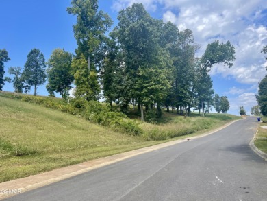 Lake Lot For Sale in Morristown, Tennessee