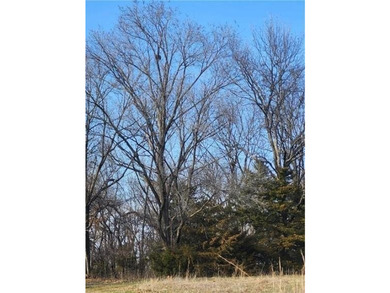 An incredible location with the perfect lot for building a great - photo 1