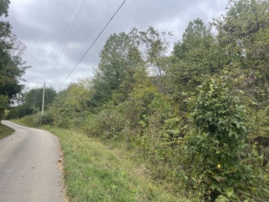 2.75 Acre Lake Cumberland Lot w Light Covenants - photo 8