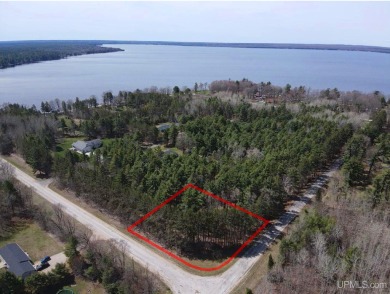 Indian Lake - Schoolcraft County Lot For Sale in Manistique Michigan