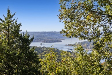 Endless possibilities await on this breathtaking 39.7 (+/-) acre - photo 10