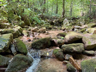Lake Lot For Sale in Sevierville, Tennessee