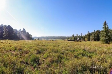 Navajo Lake Lot For Sale in Duck Creek Village Utah