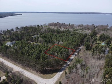 Indian Lake - Schoolcraft County Lot For Sale in Manistique Michigan