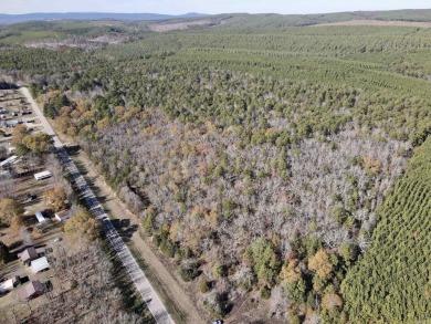 Lake Acreage For Sale in Plainview, Arkansas
