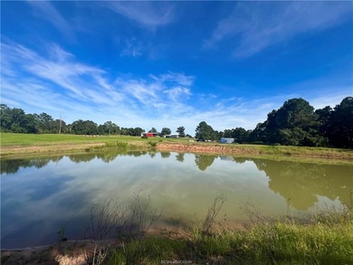 Lake Home For Sale in Centerville, Texas