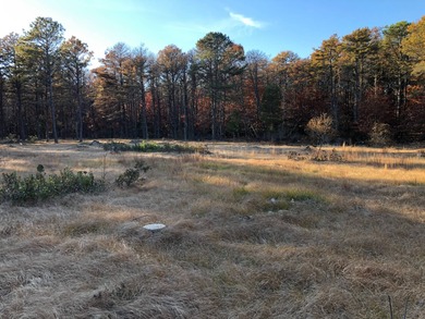 An exceptional opportunity awaits on nearly 7 pristine acres in - photo 4