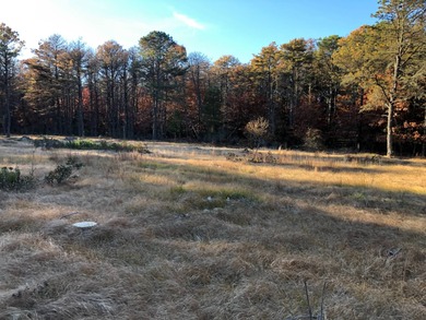 An exceptional opportunity awaits on nearly 7 pristine acres in - photo 6