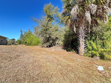 Imagine your new home looking across an 800 foot lake! How cool - photo 4