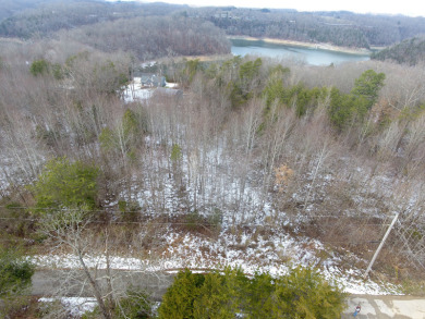 2.75 Acre Lake Cumberland Lot w Light Covenants - photo 7