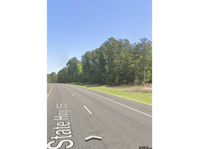 Lake Palestine Commercial For Sale in Flint Texas