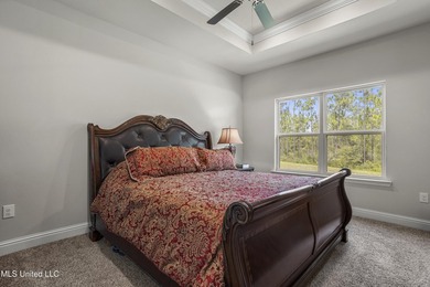 This practically brand-new home is hitting the market at a value - photo 11