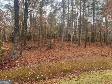 Carters Lake Lot For Sale in Ellijay Georgia