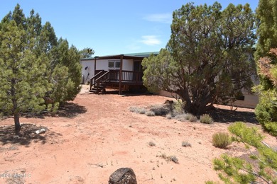 Enjoy country living on 4 fully fenced acres with plenty of room - photo 20