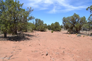 Enjoy country living on 4 fully fenced acres with plenty of room - photo 21