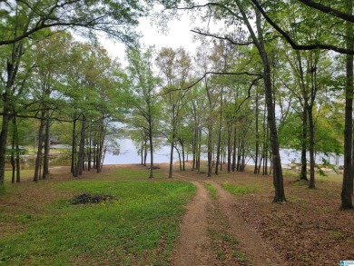 Lake Lot For Sale in Vincent, Alabama