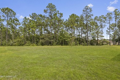 This practically brand-new home is hitting the market at a value - photo 28