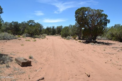 Enjoy country living on 4 fully fenced acres with plenty of room - photo 29