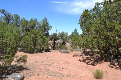 Enjoy country living on 4 fully fenced acres with plenty of room - photo 30