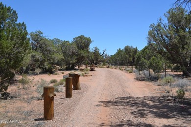 Enjoy country living on 4 fully fenced acres with plenty of room - photo 33