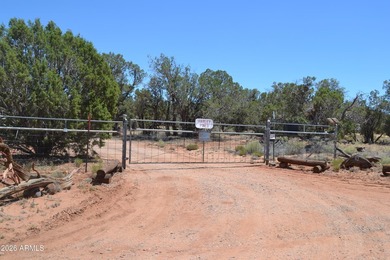 Enjoy country living on 4 fully fenced acres with plenty of room - photo 34