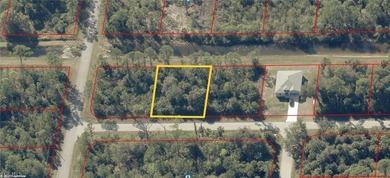 Lehigh Acres Area Lot For Sale in Lehigh Acres Florida