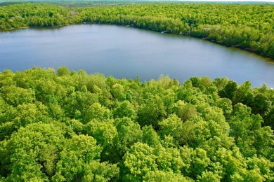 Lake Acreage For Sale in Laona, Wisconsin