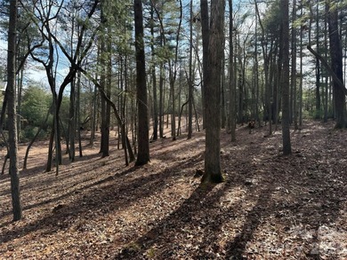 Rarely does a canvas of this caliber and readiness emerge within - photo 2