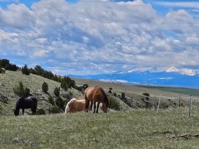 (private lake, pond, creek) Home For Sale in Three Forks Montana