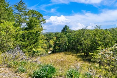 Douglas Lake Acreage For Sale in Sevierville Tennessee