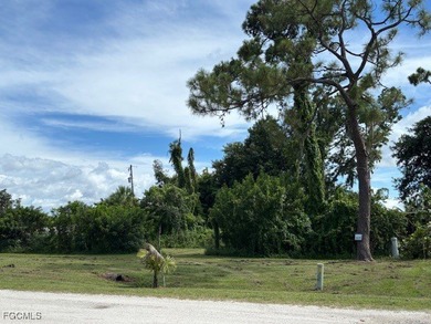 Cape Coral Area Lot For Sale in Cape Coral Florida