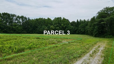 (private lake, pond, creek) Acreage For Sale in Unicorp/Rossville Tennessee