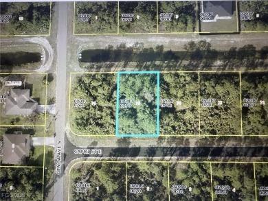 Lehigh Acres Area Lot For Sale in Lehigh Acres Florida