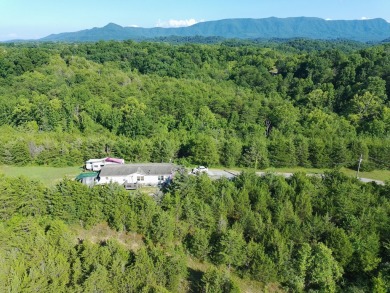 Lake Home For Sale in Dandridge, Tennessee