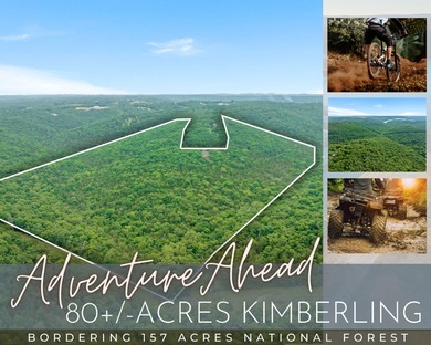 Lake Acreage For Sale in Kimberling City, Missouri